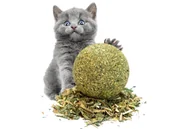 Zabawki dla kotów - Kocimiętka Piłka Zabawka Dla Kota Kulka Piłeczka - miniaturka - grafika 1