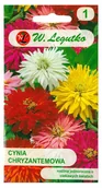Nasiona i cebule - Cynia wytworna chryzantemowa mieszanka nasiona - miniaturka - grafika 1