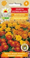Nasiona i cebule - Aksamitka rozpierzchła niska Brocade mix 1 g. - miniaturka - grafika 1