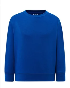 Bluza dziecięca robocza chabrowa roz. 3/4 - Bluzy dla dziewczynek - miniaturka - grafika 1