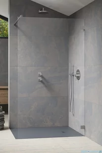Radaway Essenza Pro Brushed Nickel 55x200 kabina Walk-in szczotkowany nikiel 10103055-91-01 - Kabiny prysznicowe - miniaturka - grafika 1
