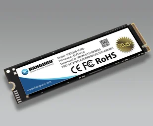 iStorage KSED300-NVME-1T 500 GB - Dyski SSD - miniaturka - grafika 1