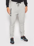 Spodnie sportowe męskie - Alpha Industries Spodnie dresowe Basic 116368 Szary Regular Fit - miniaturka - grafika 1