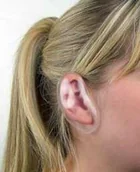 Pozostałe akcesoria fryzjerskie - Efalock nakładki ochronne na uszy 1 para - miniaturka - grafika 1