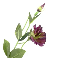 Sztuczne kwiaty - [680749] Gałązka kwiatowa eustoma bordowo-zielona - miniaturka - grafika 1