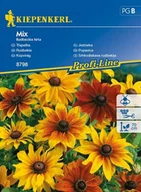 Nasiona i cebule - Kiepenkerl Jeżówka Mix Rudbeckia hirta 102319 - miniaturka - grafika 1
