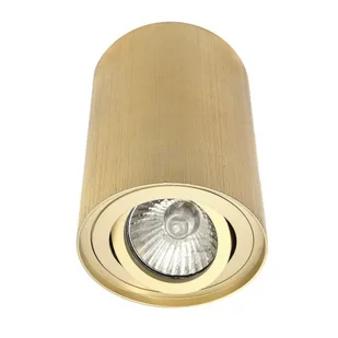Alfa Syntron lampa sufitowa tuba kierunkowa złota - Lampy sufitowe - miniaturka - grafika 1