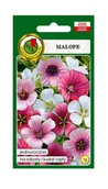 Nasiona i cebule - Malope mieszana 1 g PNOS Ożarów - miniaturka - grafika 1