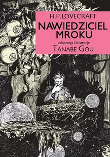 Nawiedziciel mroku Używana - Komiksy dla młodzieży - miniaturka - grafika 1