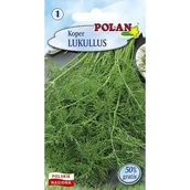 Nasiona i cebule - Koper Lukullus Polan - miniaturka - grafika 1