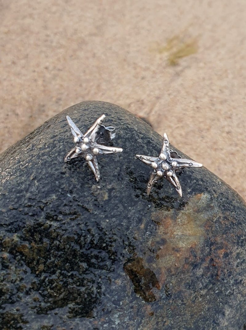 Rozgwiazda mała szara - kolczyki srebrne