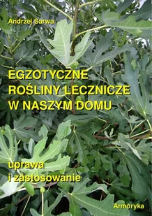Egzotyczne rośliny lecznicze w naszym domu - E-booki - poradniki - miniaturka - grafika 1