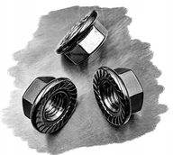 Śruby i nakrętki - M10 NAKRĘTKA KOŁNIERZOWA KWASOODPORNA inox nierdzewna A4 6923 (1) - miniaturka - grafika 1