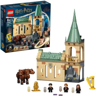 LEGO Harry Potter Hogwart: spotkanie z Puszkiem 76387 - Klocki - miniaturka - grafika 1