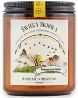Świece - Świeca "Połonina Wetlińska" - Mango, Mandarynka - miniaturka - grafika 1