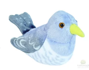 Wild Republic Kukułka Cuckoo) ptaszek z głosem 19500 - Maskotki i pluszaki - miniaturka - grafika 2