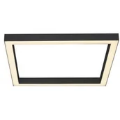 Lampy sufitowe - Paul Neuhaus PURE Pure-Lines sufitowa kwadrat antracyt - miniaturka - grafika 1