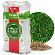 Trawy i trawniki - Trawa uniwersalna Resit szybko zagęszczająca 2 kg - miniaturka - grafika 1