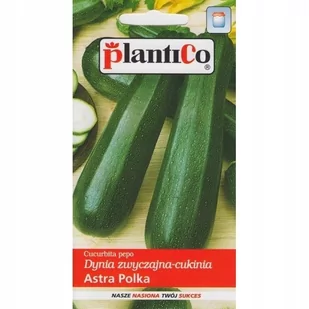 Plantico Cukinia Astra - Nasiona i cebule - miniaturka - grafika 1