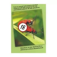 Opakowania i torebki na prezenty - Gadget Factory Gadget Factory Torebka Żuczki Duża 5907695658057 - miniaturka - grafika 1