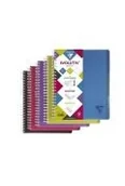 Zeszyty szkolne - Kołonotatnik A4+/120K linia PP Evolutiv mix (5szt) - miniaturka - grafika 1