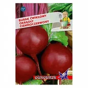 Nasiona i cebule - Burak Okrągły Ciemnoczerwony 10g / O / - miniaturka - grafika 1