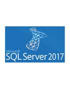 Oprogramowanie serwerowe - Microsoft SQLCAL 2017 SNGL OLP NL UsrCAL (359-06557) - miniaturka - grafika 1