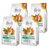 Karma dla gryzoni - Karma dla gryzoni BRIT Rabbit Senior Complete 4 x 1.5 kg - miniaturka - grafika 1