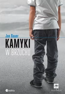 Kamyki w brzuchu - E-booki obcojęzyczne - miniaturka - grafika 1