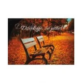 Kartki okolicznościowe i zaproszenia - Kartka składana Dziękuję że jesteś - miniaturka - grafika 1