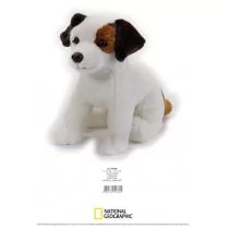 Dante Pluszak Jack Russel National Geographic GXP-735481 - Maskotki i pluszaki - miniaturka - grafika 1
