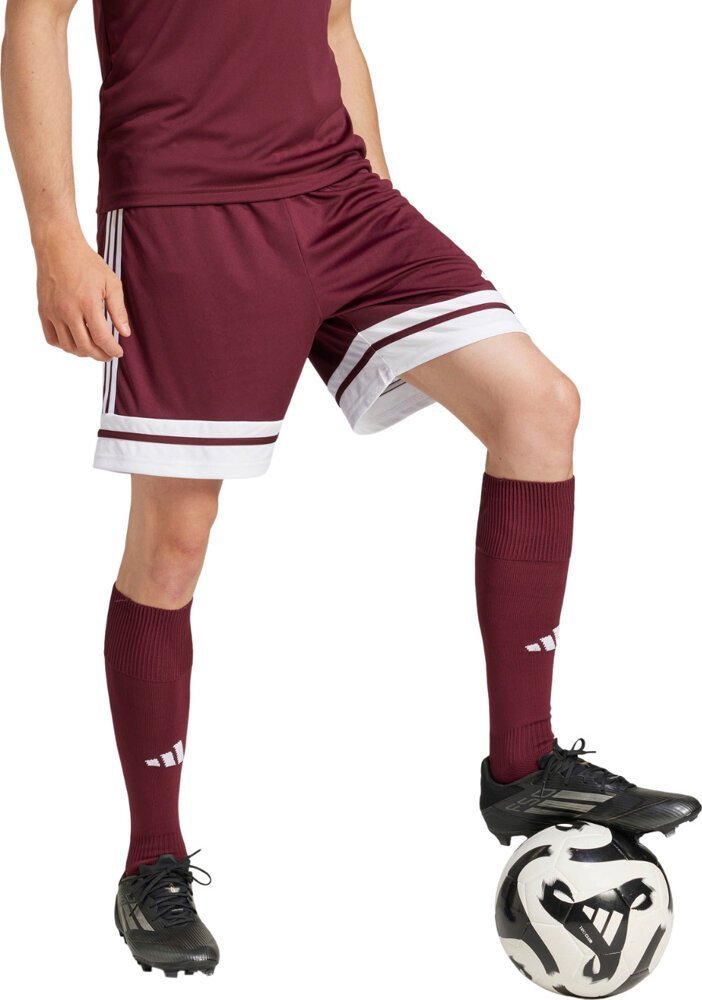 Spodenki męskie adidas Squadra 25 bordowe JC8677 XL