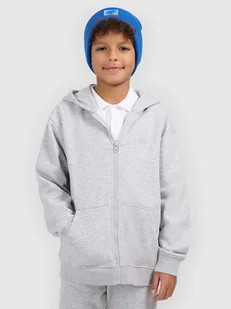 4F Bluza dresowa rozpinana z kapturem chłopięca - szara 134 (8-9 lat) - Bluzy dla chłopców 4F Bluza dresowa rozpinana z kapturem chłopięca - szara 134 (8-9 lat) - Bluzy dla chłopców - miniaturka - grafika 1