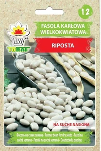 Fasola wielkokwiatowa karłowa RIPOSTA (na suche nasiona) Phaseolus coccineus L. - Nasiona i cebule - miniaturka - grafika 1