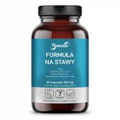Witaminy i minerały - Formuła Na Stawy 50 kapsu 1036546135 - miniaturka - grafika 1