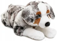 Maskotki i pluszaki - Maskotka Piesek Australijski Leżący - 61cm - miniaturka - grafika 1