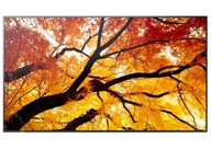 Monitory reklamowe i wyświetlacze - Sharp MultiSync M982 Interaktywny płaski panel 2,48 m (97.5") LED 550 cd/m² 4K Ultra HD Czarny 24/7 - miniaturka - grafika 1