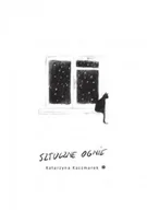 Poezja - Sztuczne ognie - miniaturka - grafika 1