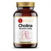 Układ pokarmowy - Yango Cholina 650 mg - suplement diety 90 kaps. - miniaturka - grafika 1