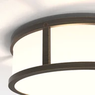 Lampy sufitowe - Astro Lighting Mashiko 1121097 plafon sufitowy 1x12W/E27  IP44 - miniaturka - grafika 1