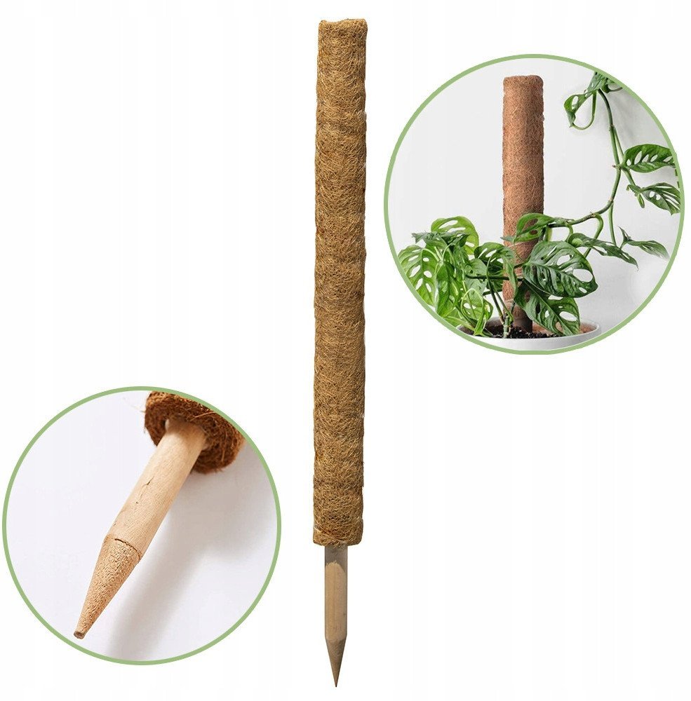 Palik kokosowy 45 cm podpora do roślin tyczka