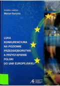 Biznes - Luka konkurencyjna na poziomie przedsiębiorstwa - miniaturka - grafika 1