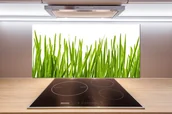 Panele ścienne i boazeria - Panel szklany do kuchni Trawa - miniaturka - grafika 1