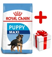 Sucha karma dla psów - Royal Canin Maxi Puppy 15 kg - miniaturka - grafika 1