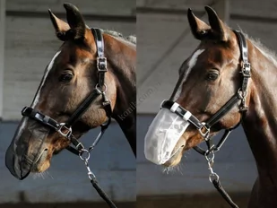Harry''s Horse Siatka na nos do jazdy - Akcesoria jeździeckie - miniaturka - grafika 1