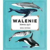 Baśnie, bajki, legendy - Walenie. Sekretne życie - Rena Ortega - miniaturka - grafika 1