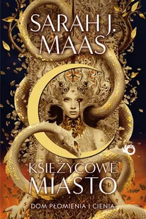 Dom płomienia i cienia. Księżycowe Miasto. Tom 3 - Horror, fantastyka grozy - miniaturka - grafika 1