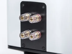 ELAC Vela FS409.2 (czarny połysk) - Głośniki i kolumny - miniaturka - grafika 5