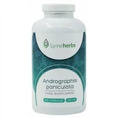 Suplementy naturalne - Lymeherbs Andrographis paniculata 500 mg, 500 kapsułek CH39 - miniaturka - grafika 1
