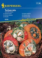 Nasiona i cebule - Kiepenkerl Dynia ozdobna Turban mix Cucurbita moschata 102305 - miniaturka - grafika 1